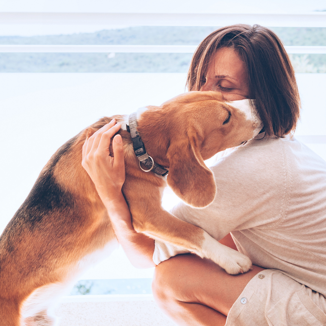 Anicare Premium Dental Care ++ Dentalspray für Hunde im Check